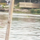 สมาชิกหมายเลข 5247628