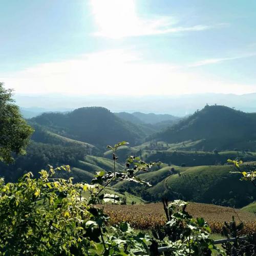 สมาชิกหมายเลข 1316338