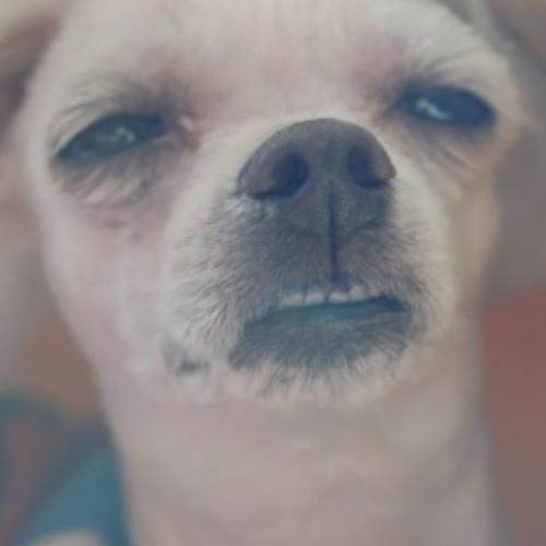 สมาชิกหมายเลข 3771619