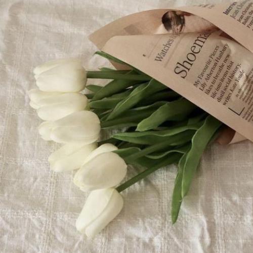 สมาชิกหมายเลข 6264159