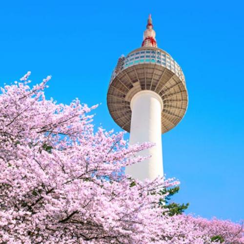 สมาชิกหมายเลข 6592254