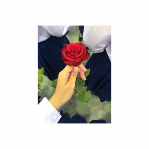 สมาชิกหมายเลข 4082675