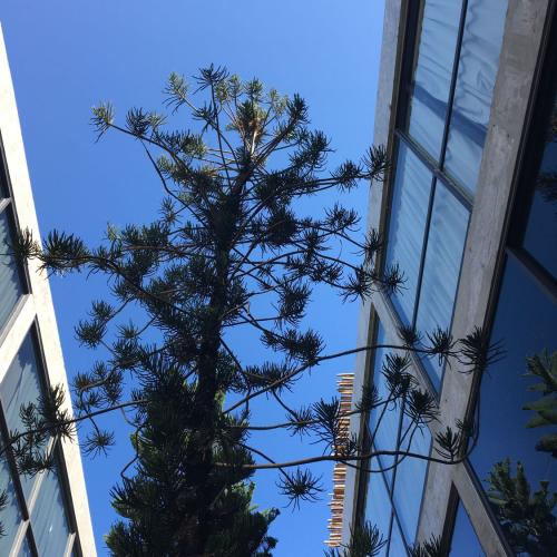 สมาชิกหมายเลข 5678236