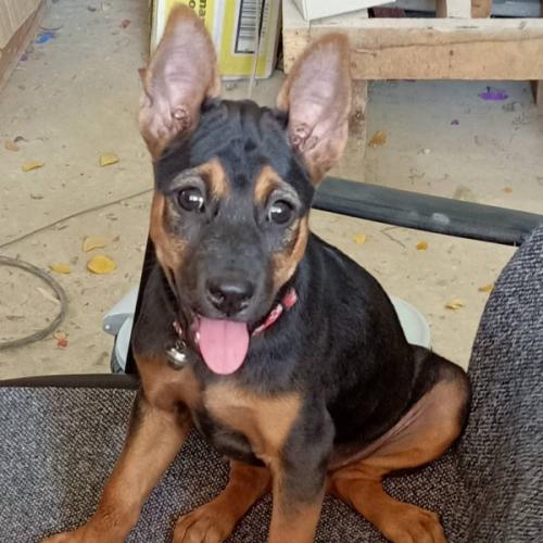 สมาชิกหมายเลข 5678643