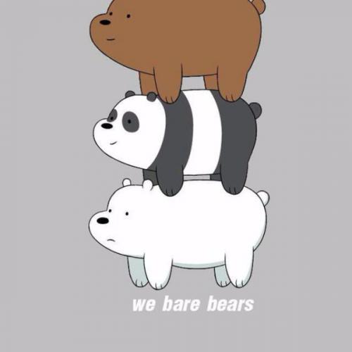 สมาชิกหมายเลข 5682505