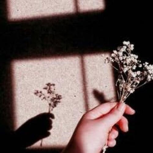 สมาชิกหมายเลข 5682643