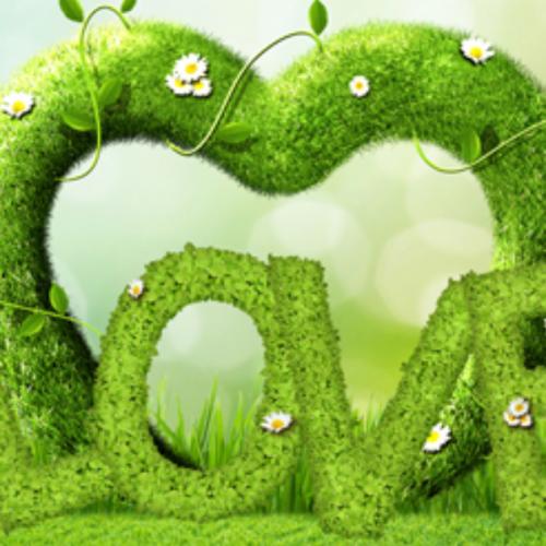 สมาชิกหมายเลข 2885549