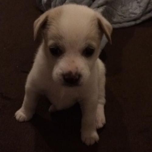 สมาชิกหมายเลข 5566755