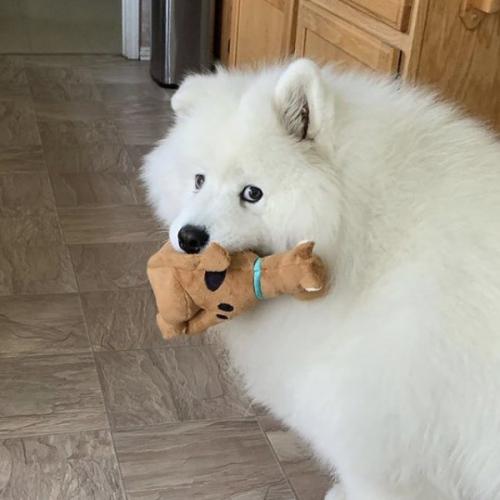 สมาชิกหมายเลข 5745353