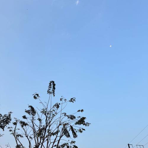 สมาชิกหมายเลข 3467786