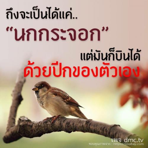 สมาชิกหมายเลข 4944691