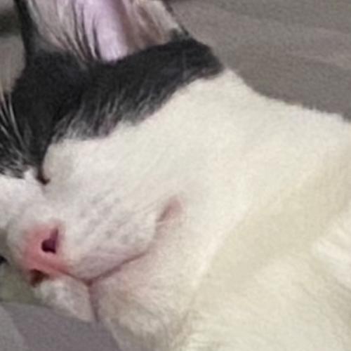 สมาชิกหมายเลข 8456608