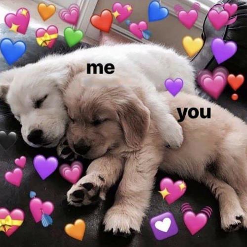 สมาชิกหมายเลข 4861098