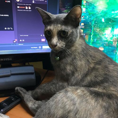 สมาชิกหมายเลข 4861260