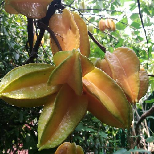 สมาชิกหมายเลข 1164152