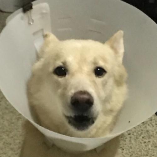 สมาชิกหมายเลข 2977510