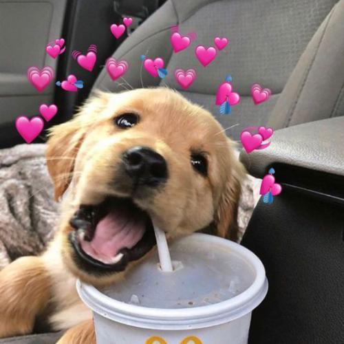 สมาชิกหมายเลข 3848847