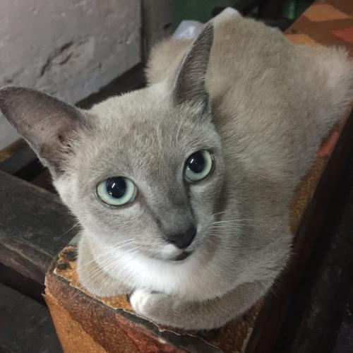 สมาชิกหมายเลข 5682157