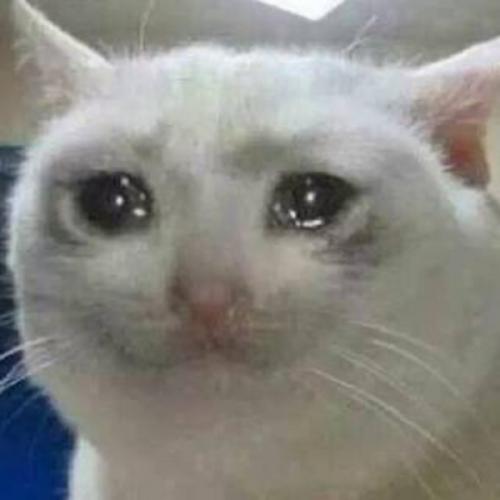 สมาชิกหมายเลข 5682194