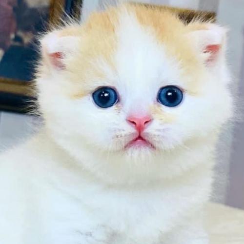 สมาชิกหมายเลข 2356090