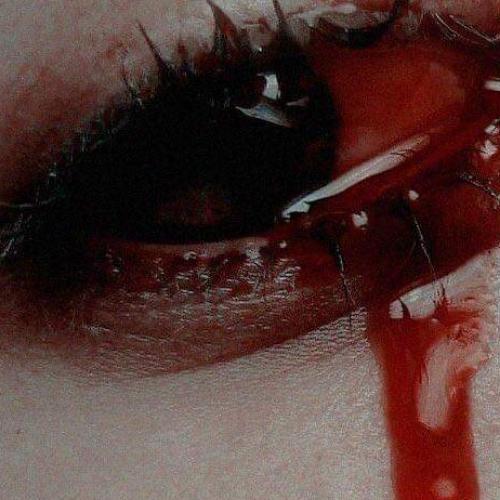 สมาชิกหมายเลข 5995546