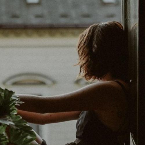 สมาชิกหมายเลข 6124909