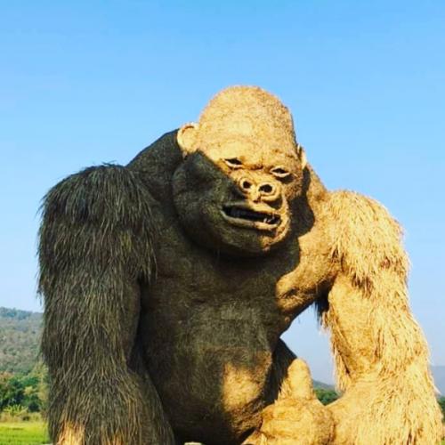 สมาชิกหมายเลข 6265599