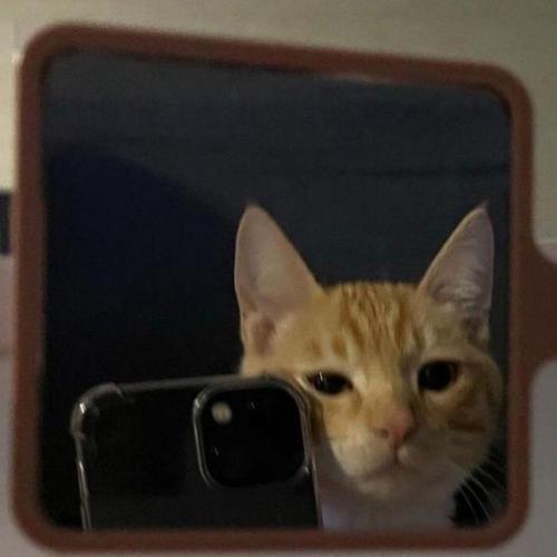 สมาชิกหมายเลข 3852196