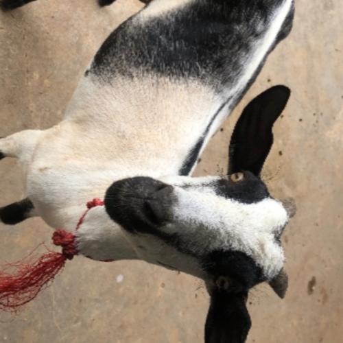 สมาชิกหมายเลข 7674604