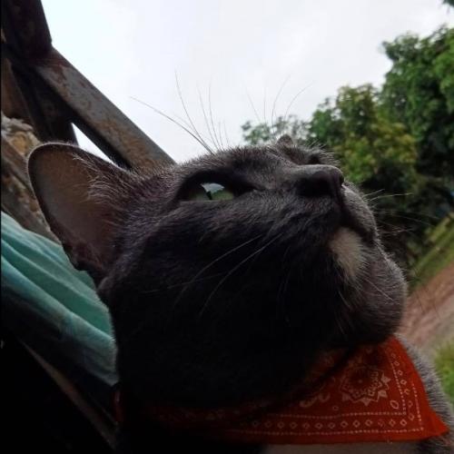 สมาชิกหมายเลข 7680004