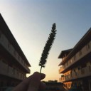 สมาชิกหมายเลข 1412191