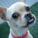 สมาชิกหมายเลข 2397300