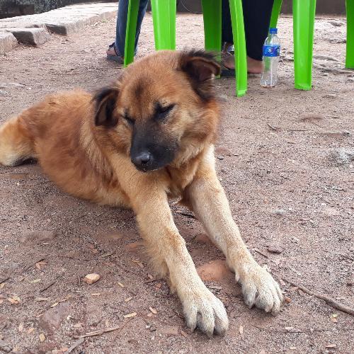 สมาชิกหมายเลข 1099094