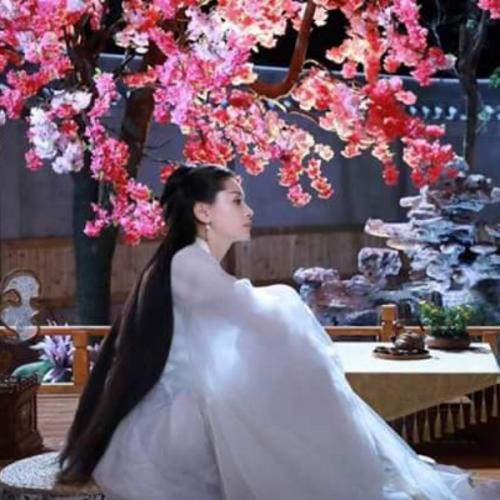 สมาชิกหมายเลข 3080646