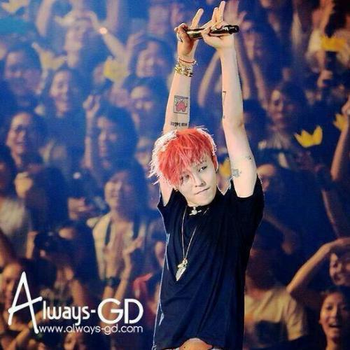 สมาชิกหมายเลข 4487186