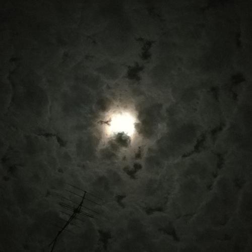 สมาชิกหมายเลข 4857211