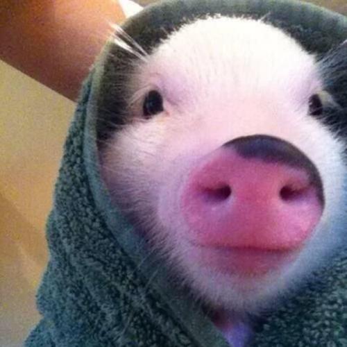 สมาชิกหมายเลข 992359