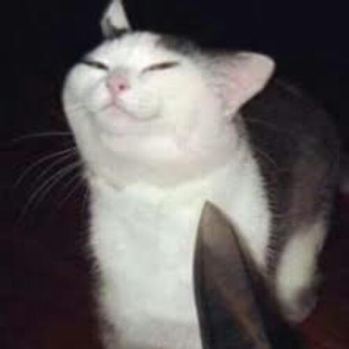 สมาชิกหมายเลข 5075172