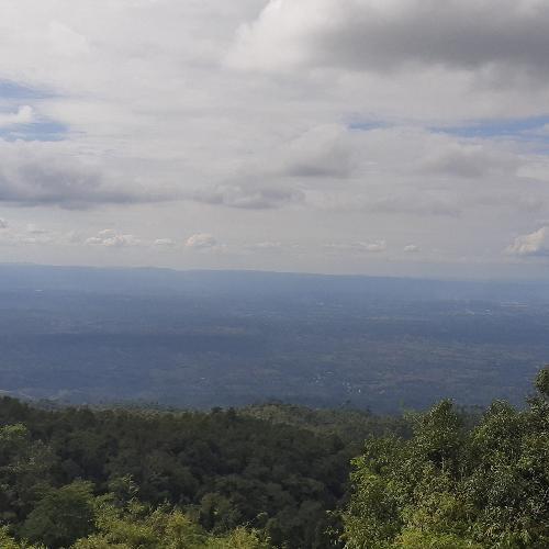 สมาชิกหมายเลข 5247353