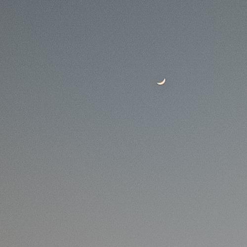 สมาชิกหมายเลข 5683264