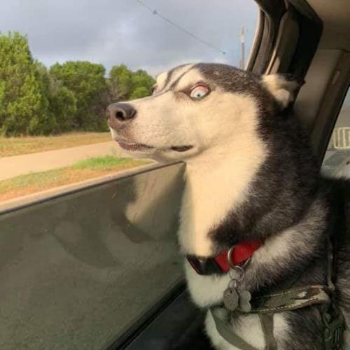 สมาชิกหมายเลข 5683361