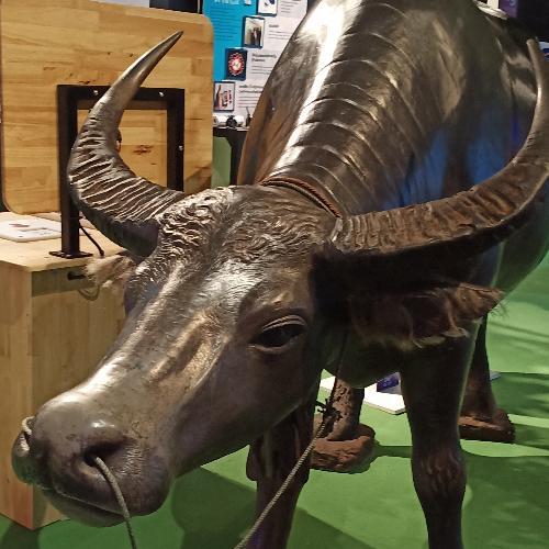 สมาชิกหมายเลข 5381887