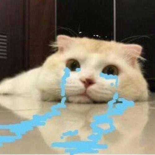 สมาชิกหมายเลข 5528586