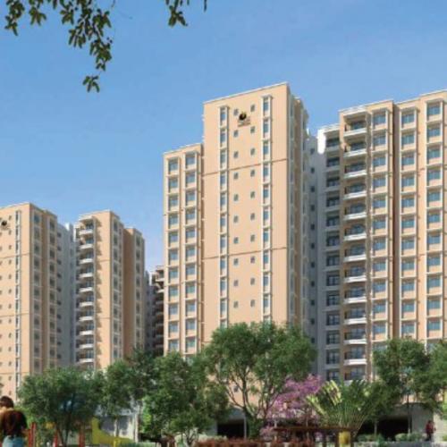 สมาชิกหมายเลข 7687932