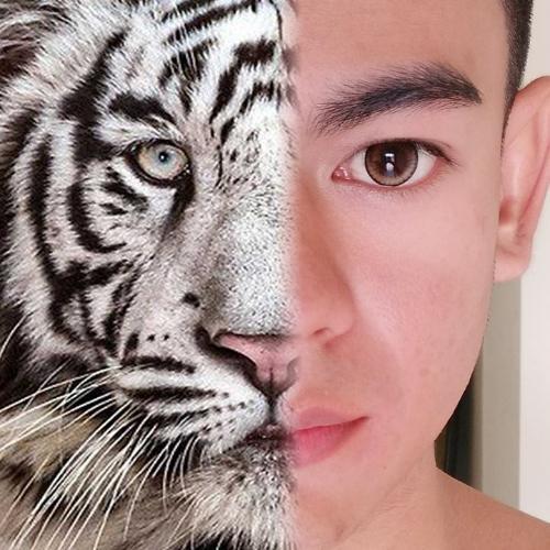 สมาชิกหมายเลข 1850563