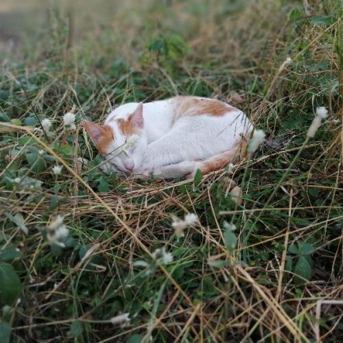 สมาชิกหมายเลข 5251157