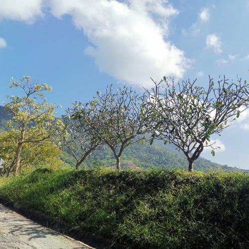 สมาชิกหมายเลข 1018916