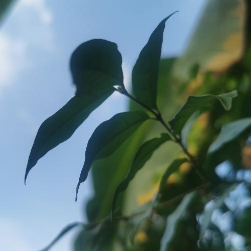 สมาชิกหมายเลข 2574503