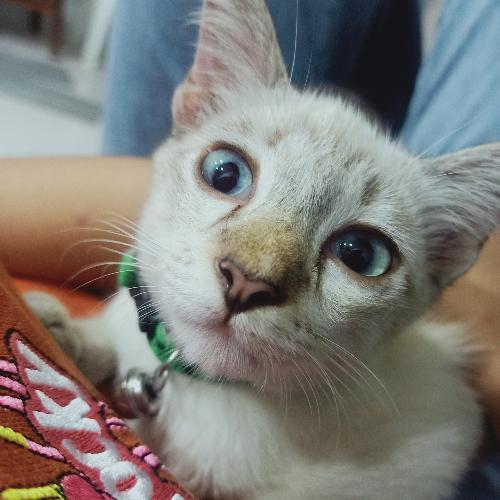 สมาชิกหมายเลข 3128737