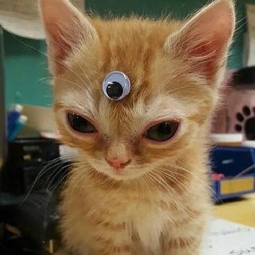 สมาชิกหมายเลข 7687612